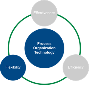 Chart_ProcessOrganization_Flexibility